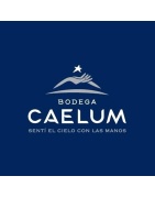 CAELUM